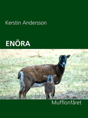 cover image of ENÖRA